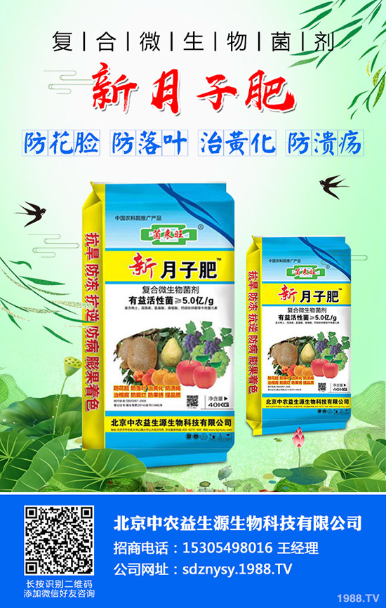     С�����~��ʲô��С�����~����������Щ��С�����~�Q���a(ch��n)��ô��