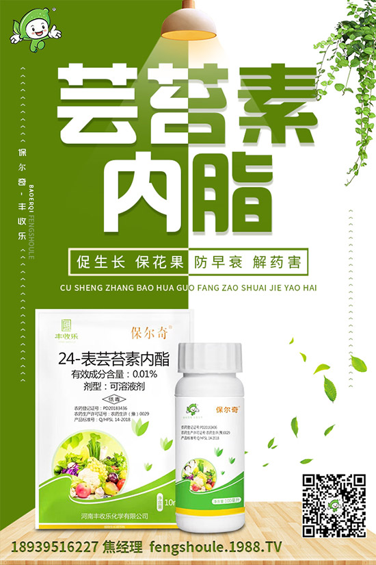 �������ô�޽�����ϼ޽Ӹ߮a(ch��n)�Nֲ���g��