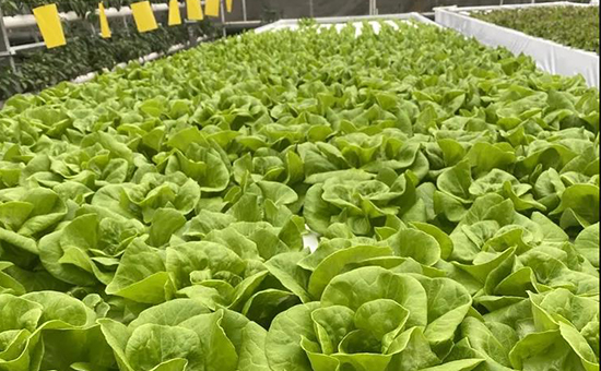 �۹�˲���(hu��)