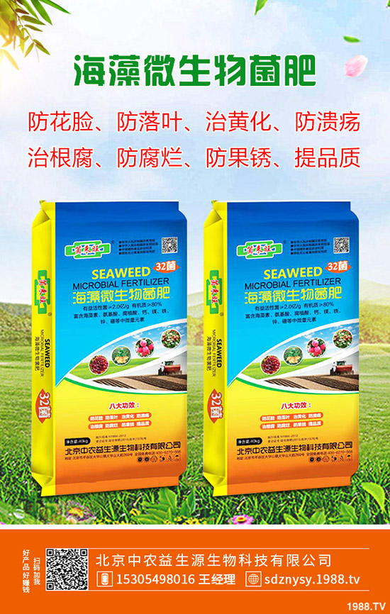 ��ľ������ע�����(xi��ng)����Щ����ľ�����N�xُ(g��u)ע������Щ��