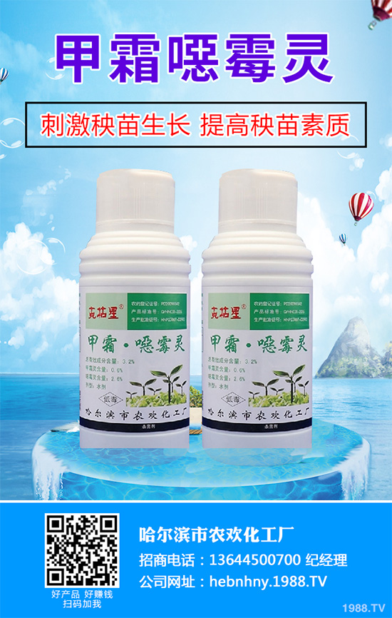 ��(x��)���Բ���