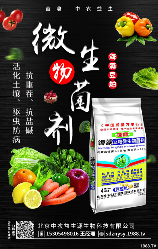     ���@�Ј����w���F(xi��n)ƽ�o��2020-5-12����������@�r�����������