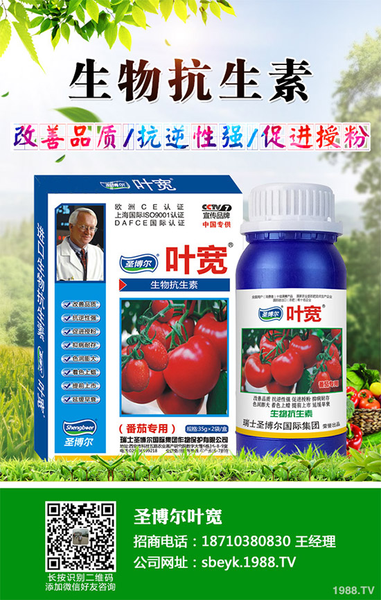 ���ﱡƤ���ԓ�����������Ƥ��ϸ߮a(ch��n)���༼�g(sh��)