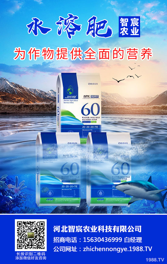 2020���؃r(ji��)��Ҫ�ϝq���������������߄�(sh��)������