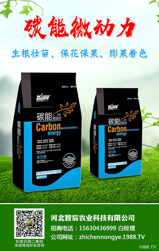 5����(n��i)�׷��Ј���ȥ�Ώ�������һ�@���@�r(ji��)�������߄��A(y��)�y��