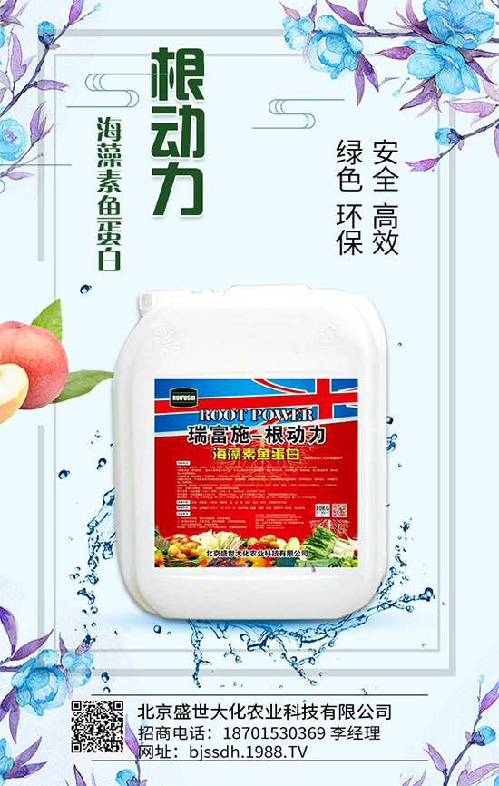 �J�S��ʲô�I(y��ng)�B(y��ng)�r(ji��)ֵ�����J�S����Щ��̎��