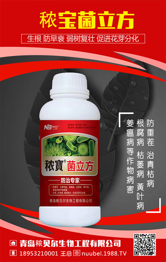 ���J��ô���N���������J�Ĳ��N���������L�^�̣�