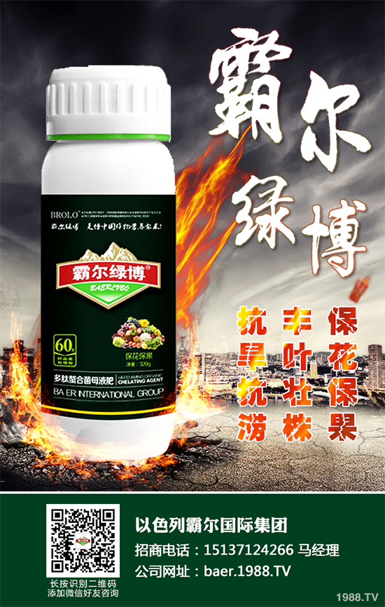 ������ʲô�r�򲥷N��2020���������粥�����ă�(y��u)ȱ�c����