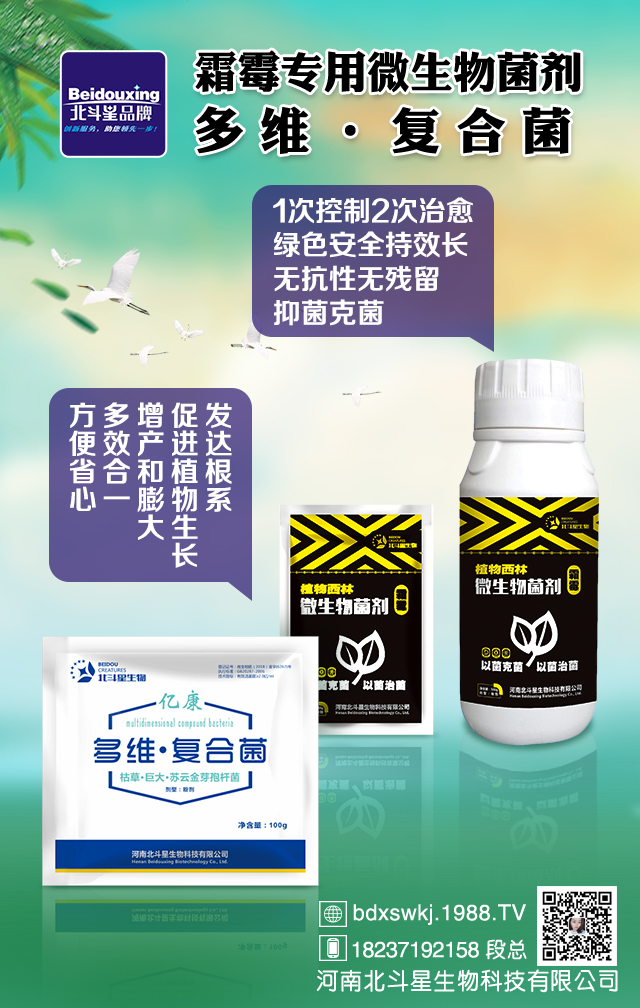 ���ϱ���������Ƽ����޹�˾