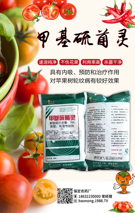 ������������أ���Ч����â���ǰ��������u���