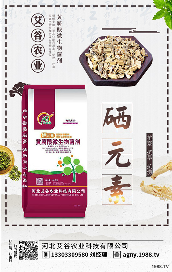 黑番茄該怎樣種植？如何管理才能獲得高產(chǎn)？黑番茄高產(chǎn)種植管理技術(shù)！