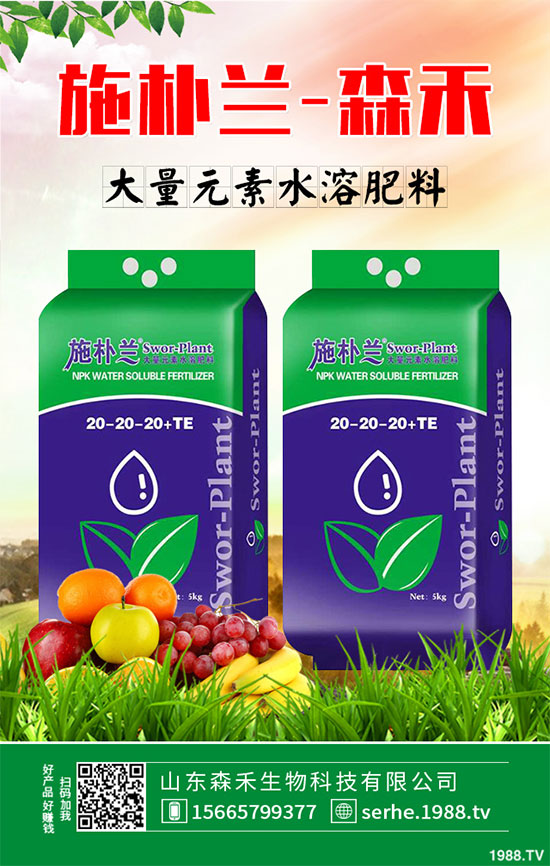 �R���r(ji��)�񲻔����ߣ��ܷ��^�m(x��)��(ji��n)ͦ��2020���R����Nֲǰ������