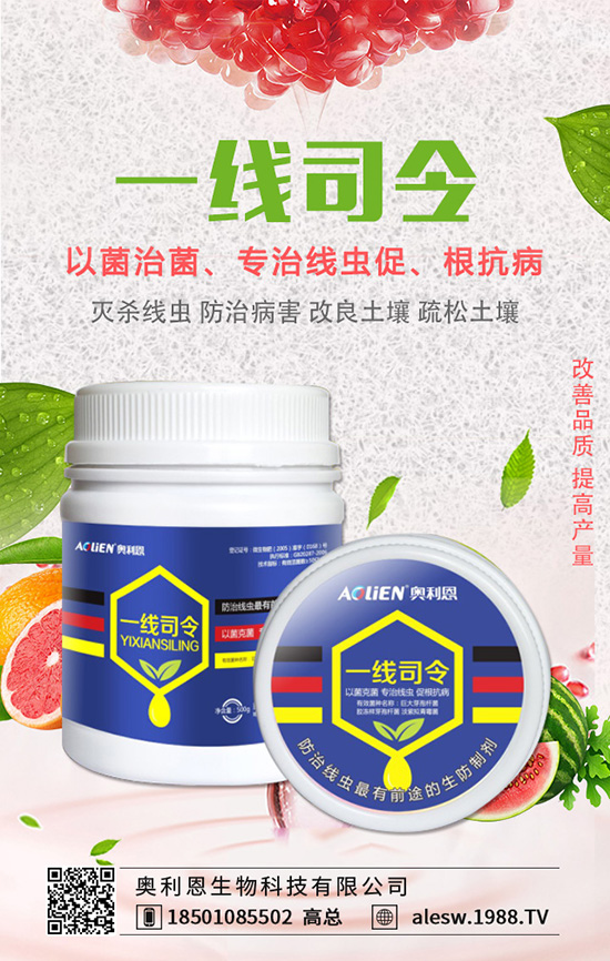 ���X����ô�B(y��ng)�����X���B(y��ng)ֳ��������Щ��