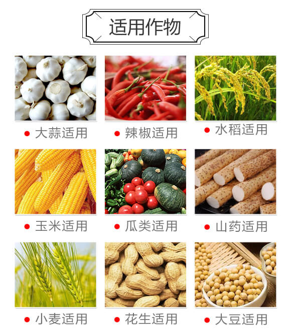 �����S�߮a�ײ�-�Խ_06