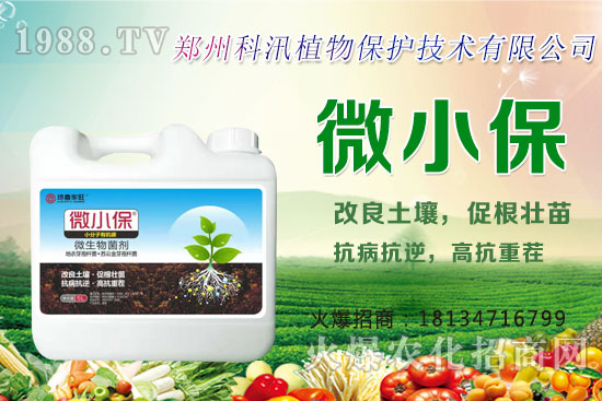 ����Ĺ�Ч�c�����������c�����Ă����РI�B(y��ng)��