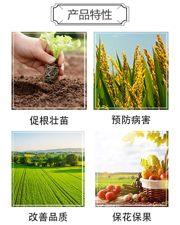 �����S�߮a�ײ�-�Խ_05