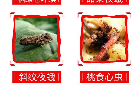 ̩ɭ�x��-1%�װ������S���ر������}-���G�r(n��ng)_09