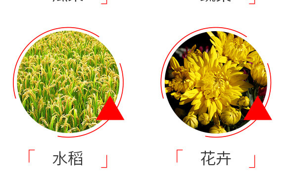 ̩ɭ�x��-1%�װ������S���ر������}-���G�r(n��ng)_07