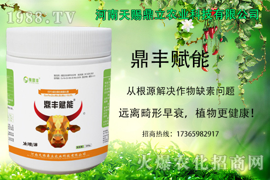 ��������ô�M��׷���������˵ķNֲע�������