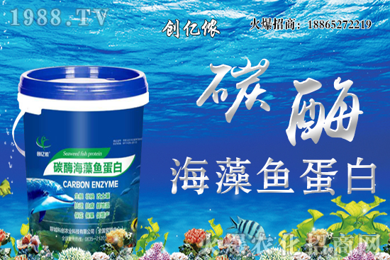 ���؃r(ji��)��