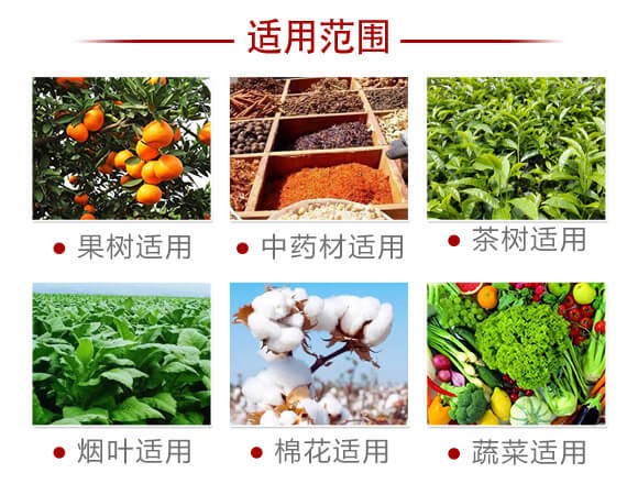 80%�ľ���ȩ��15�ˣ�-�p��-�P�Z����_06