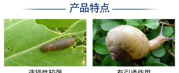 6%�ľ���ȩ��300�ˣ�-��(zh��n)��-�P�Z����_05