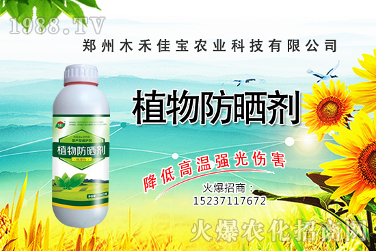 ������(sh��)�Nֲ����Ҫ�c(di��n)����Щ��������(sh��)���Է�����