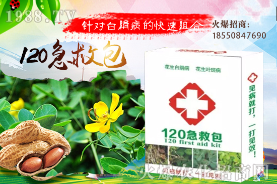 �S�ϼ޽���ʲô��̎����������S�ϼ޽�����