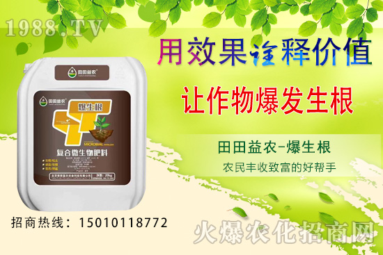 ���¿��ԷNֲ���߲�����Щ�����·N�߲˹���Ҫ�c��