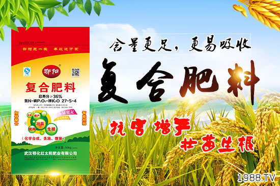 Ѫ������Щ�I�B(y��ng)�r(ji��)ֵ����Ѫ����ʲô��̎��