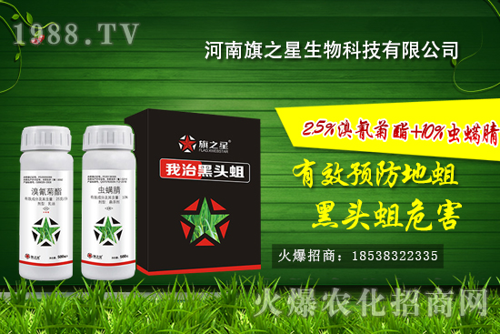 ʲô�Ǿ����������l(f��)��Ҏ(gu��)���������o�������η�����