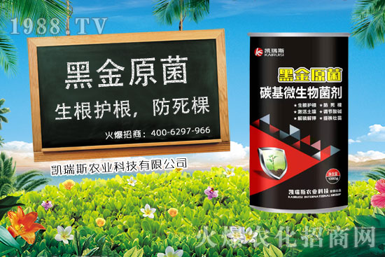     ����ʲô�r(sh��)����죬���׵��ի@�r(sh��)�������׵ĠI�B(y��ng)�r(ji��)ֵ��