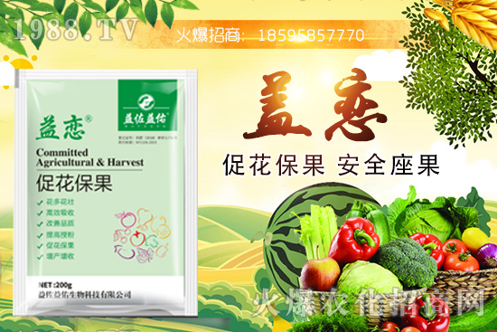 ��֦�ĠI�B(y��ng)�ɷ�����Щ����֦�ܶ�Ԇ��������m����Ⱥ��