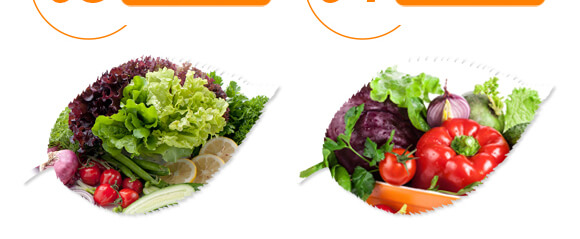 ��(f��)��΢����_ʩ��-�{�������-���w��-���W����_08