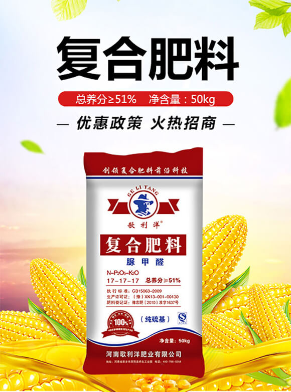 ��(f��)�Ϸ��ϣ����ȩ��17-17-17-������_01