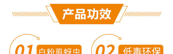 5%��x(ch��ng)��+20%߻�x(ch��ng)��-��������-����֮��_06