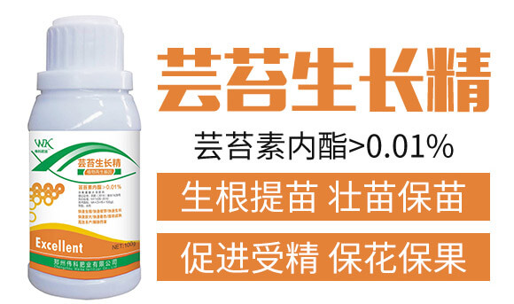 �|̦���L��-���ƷʘI(y��)_02