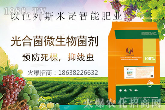 ���Y(ji��)���x(ch��ng)Σ������̫�y��������΢�ء���(l��i)��æ�����ƾ��x(ch��ng)���x(ch��ng)�����Ƀ���