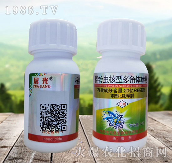 ����x���Ͷ���w������ʲô�x��Ч����ô������ô�x����