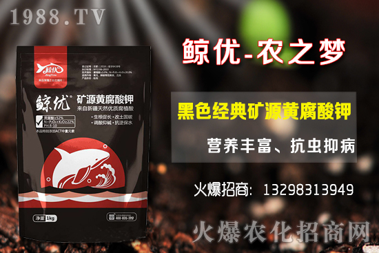 �����ķNֲ�ܶ���������Ʒ�N�x�񼰷Nֲ������