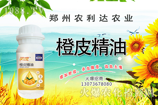 ��Ƥ�������˽��������Ƥ������ʲô���ã���ô�x��Ƥ������