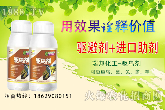 �ļ����@�B�������·������������󣡹��@�(q��)�B������