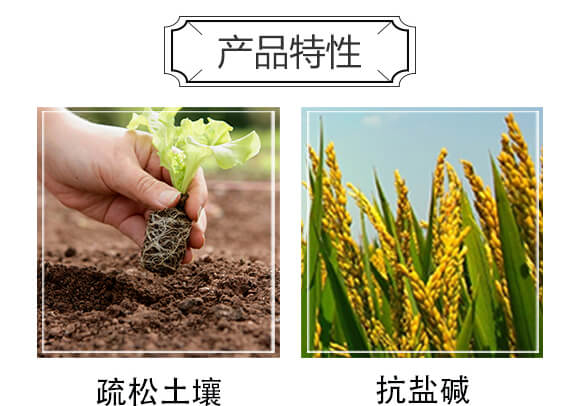 ��(f��)�Ϸ���25-14-6-������_05