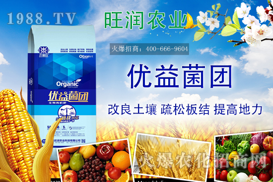 �����ЙC(j��)����ʲô���������ЙC(j��)�ʵă�(y��u)��(sh��)���c�������ϵą^(q��)�e��