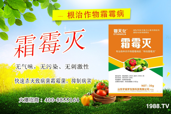 �S��˪ù����(y��n)����ô�k�����������S��˪ù����