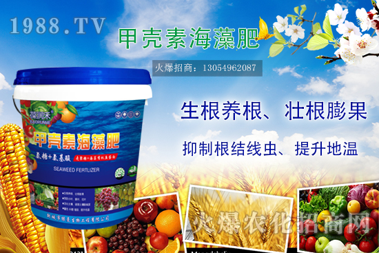 2020-7-20����(n��i)�ͺϷʃr���߄ݼ��������u