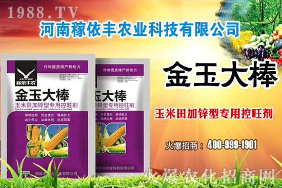 �����Ј�(ch��ng)ƽ��(w��n)�\(y��n)�О�������(g��)�e�؅^(q��)��С���q�������ո��؅^(q��)���؈�(b��o)�r(ji��)��