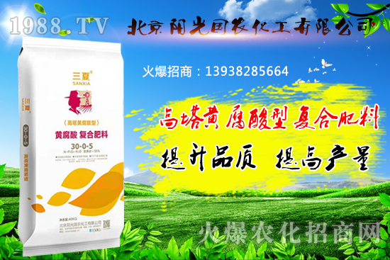 �����S�����͏ͺϷ�����ʲô���c�������S�����͏ͺϷ����m��ʲô������