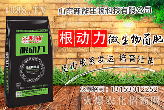 ����������ʲô����ʹ�á�΢������ʡ���ʲô��(y��u)�ݣ�