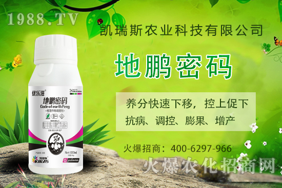 �P��˹�r(n��ng)�I(y��)��ô�����P��˹�r(n��ng)�I(y��)����a(ch��n)Ʒ����Щ��